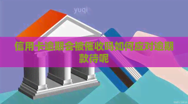 信用卡逾期会被吗如何应对逾期款待呢