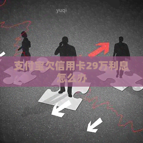 支付宝欠信用卡29万利息怎么办