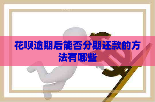 信用卡逾期后能否分期还款的方法有哪些