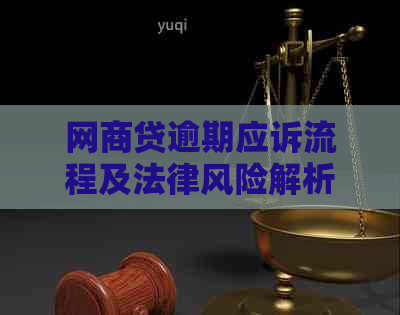 网贷逾期应诉流程及法律风险解析