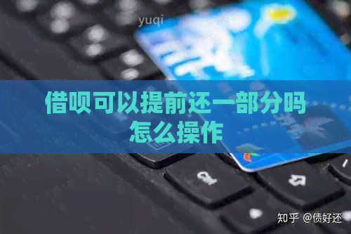 网贷可以提前还一部分吗怎么操作