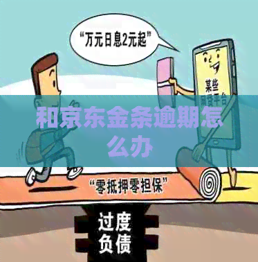 和京东金条逾期怎么办