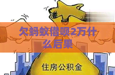 欠蚂蚁网贷2万什么后果