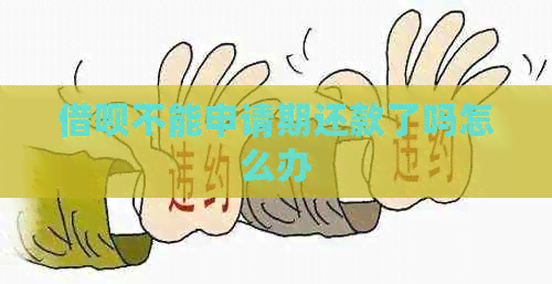 网贷不能申请期还款了吗怎么办