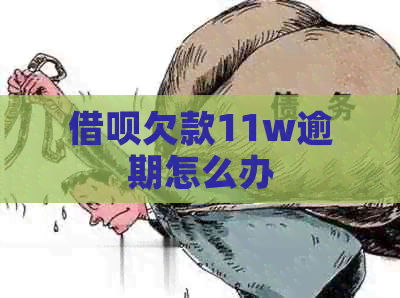 网贷欠款11w逾期怎么办