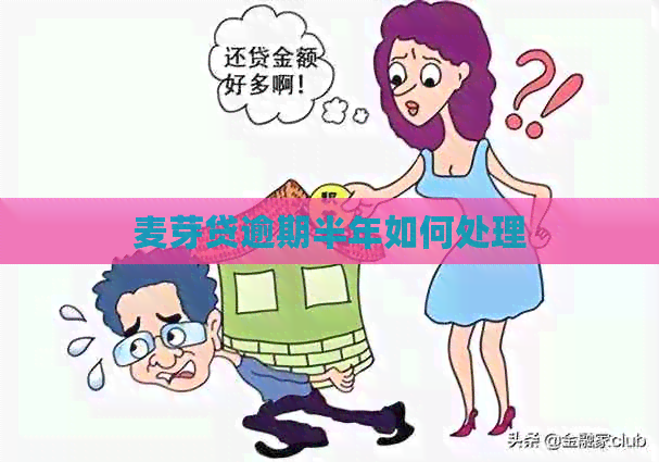 麦芽贷逾期半年如何处理