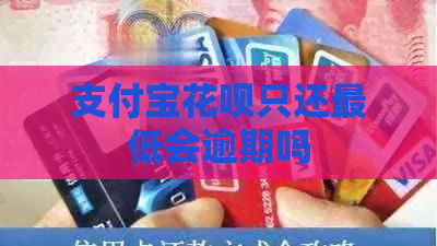 支付宝信用卡只还更低会逾期吗