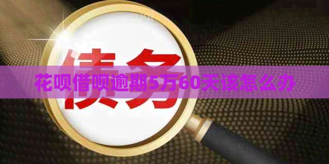 信用卡网贷逾期5万60天该怎么办 信用卡网贷逾期5万60天该怎么办