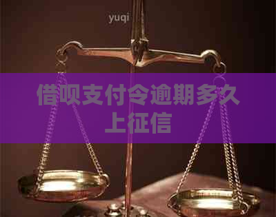 网贷支付令逾期多久上