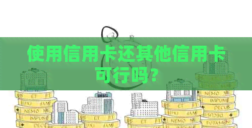 使用信用卡还其他信用卡可行吗？