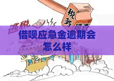 网贷应急金逾期会怎么样