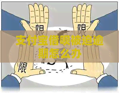 支付宝网贷被迫逾期怎么办