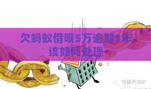 欠蚂蚁网贷5万逾期3年该如何处理