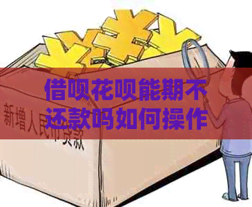 网贷信用卡能期不还款吗如何操作