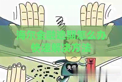 海尔金融逾期怎么办快速解决方法