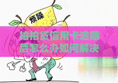 信用卡逾期后怎么办如何解决