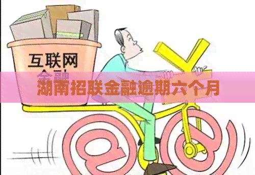 湖南招联金融逾期六个月