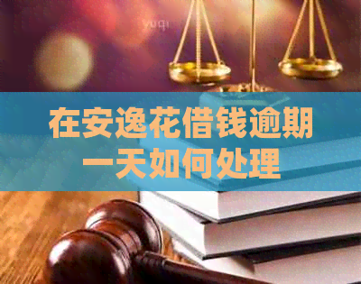 在安逸花借钱逾期一天如何处理