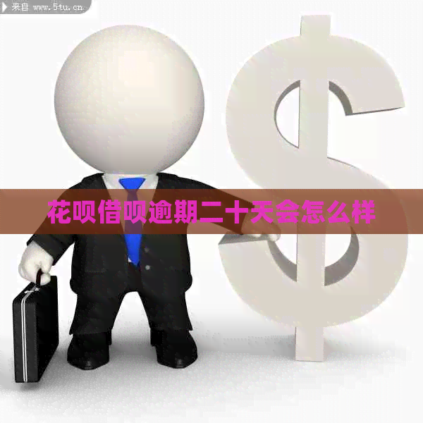 信用卡网贷逾期二十天会怎么样