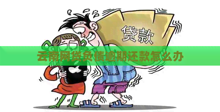 云南网贷负债逾期还款怎么办