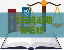 飞鸟贷逾期被