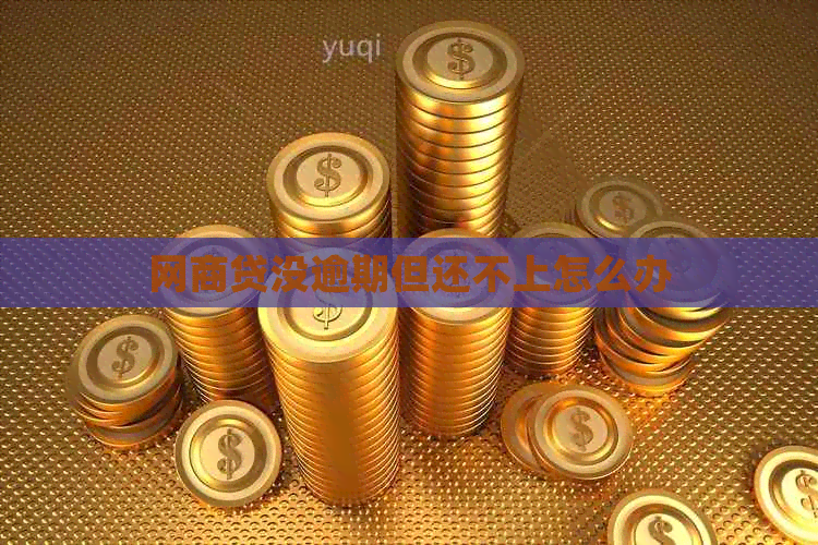 网贷没逾期但还不上怎么办