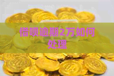 网贷逾期2万如何处理