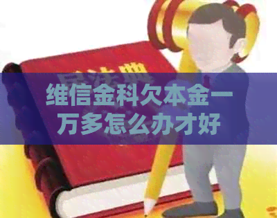 维信金科欠本金一万多怎么办才好