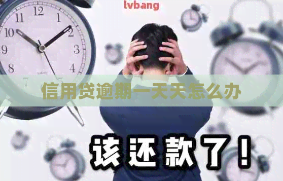信用贷逾期一天天怎么办 信用贷逾期一天天怎么办