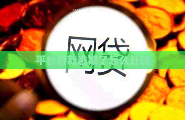 平台借款逾期了怎么处理