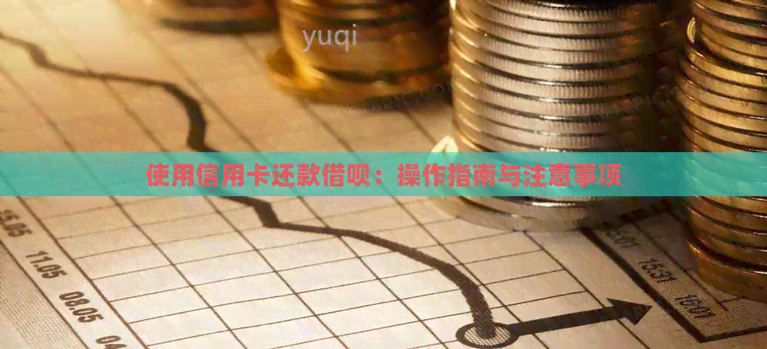使用信用卡还款网贷：操作指南与注意事项