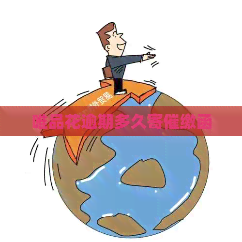 唯品花逾期多久寄催缴函