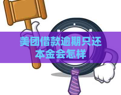 美团借款逾期只还本金会怎样