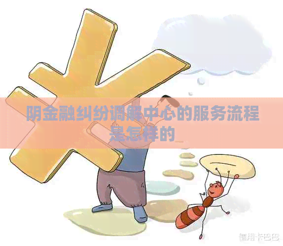 阴金融纠纷调解中心的服务流程是怎样的