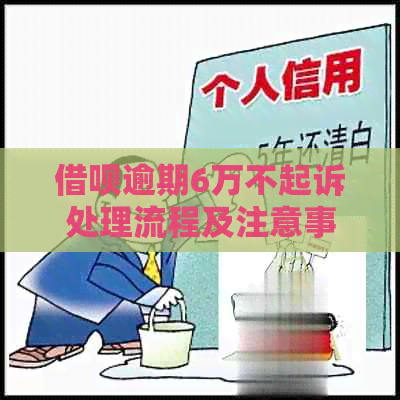 网贷逾期6万不起诉处理流程及注意事项