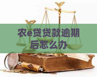 农e贷贷款逾期后怎么办