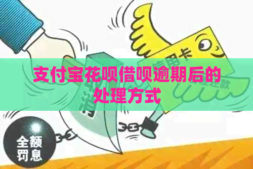支付宝信用卡网贷逾期后的处理方式