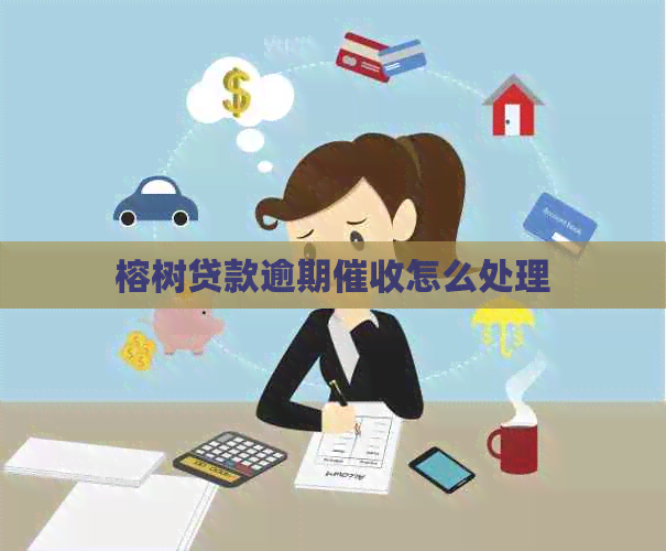榕树贷款逾期怎么处理