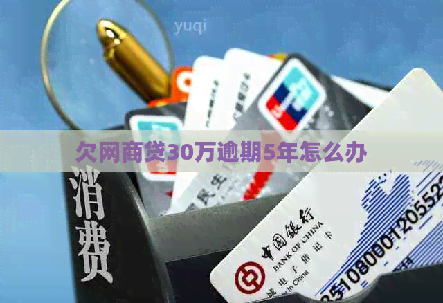 欠网贷30万逾期5年怎么办