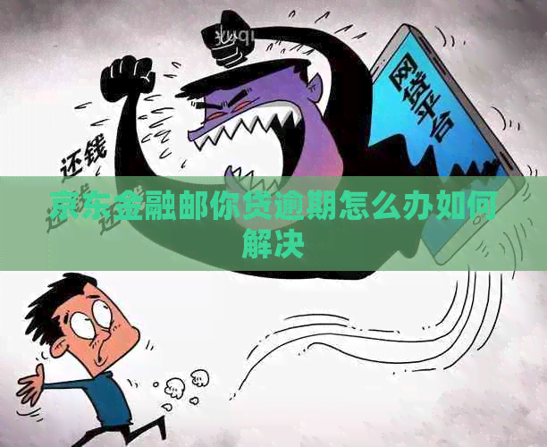 京东金融邮你贷逾期怎么办如何解决