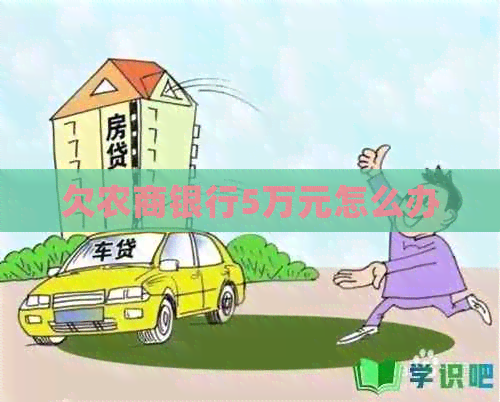 欠农商银行5万元怎么办