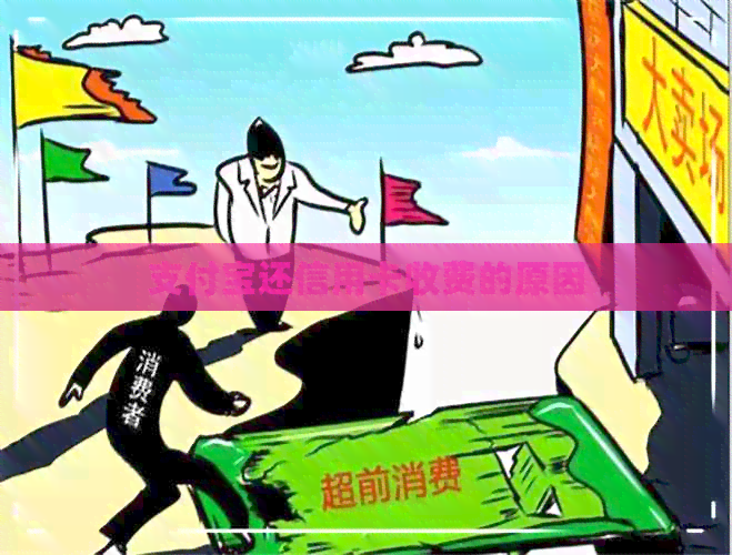 支付宝还信用卡收费的原因