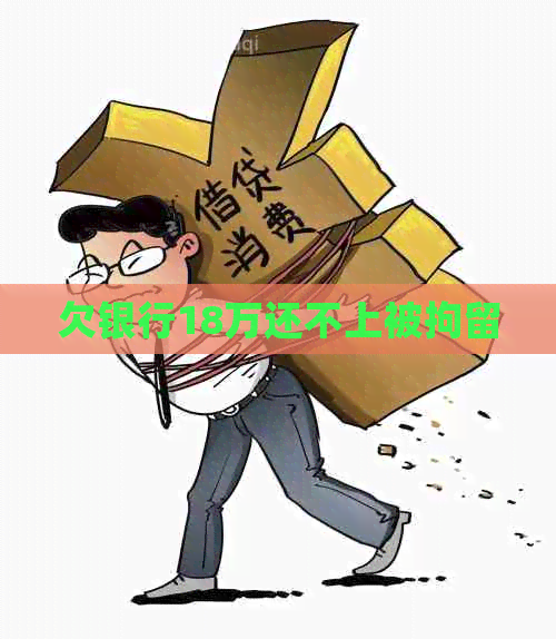 欠银行18万还不上被拘留