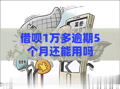 网贷1万多逾期5个月还能用吗