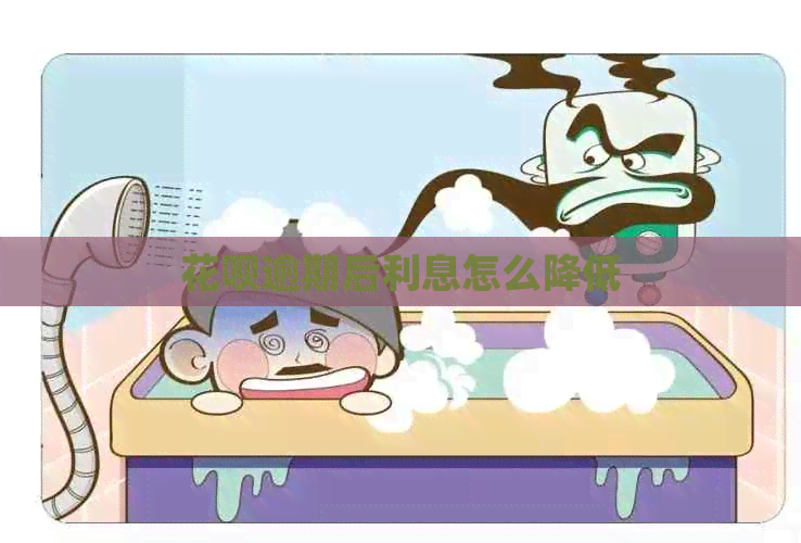 信用卡逾期后利息怎么降低