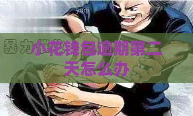 小花钱包逾期第二天怎么办