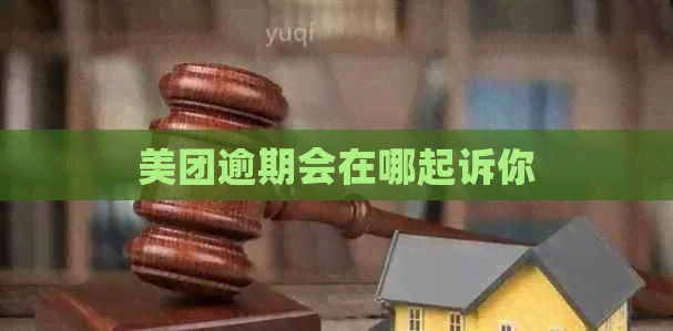 美团逾期会在哪起诉你