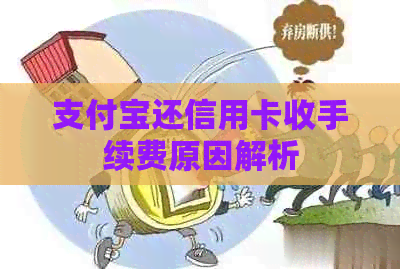支付宝还信用卡收手续费原因解析
