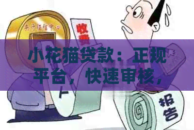 小花猫贷款：正规平台，快速审核，无年龄限制，轻松借款。
