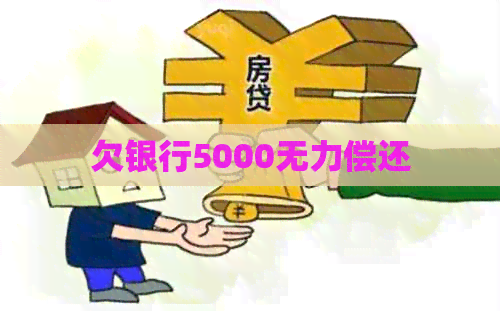欠银行5000无力偿还